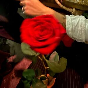 Meet your Posher, Jennalynn